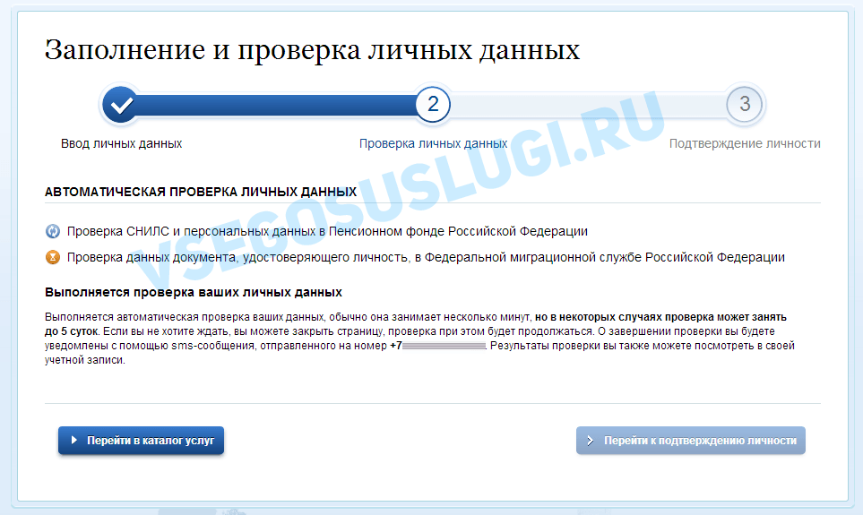 проверка введенных данных госуслуги
