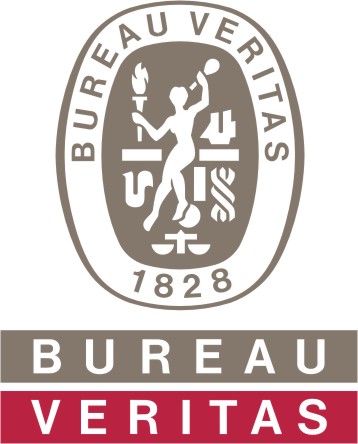 bv logo